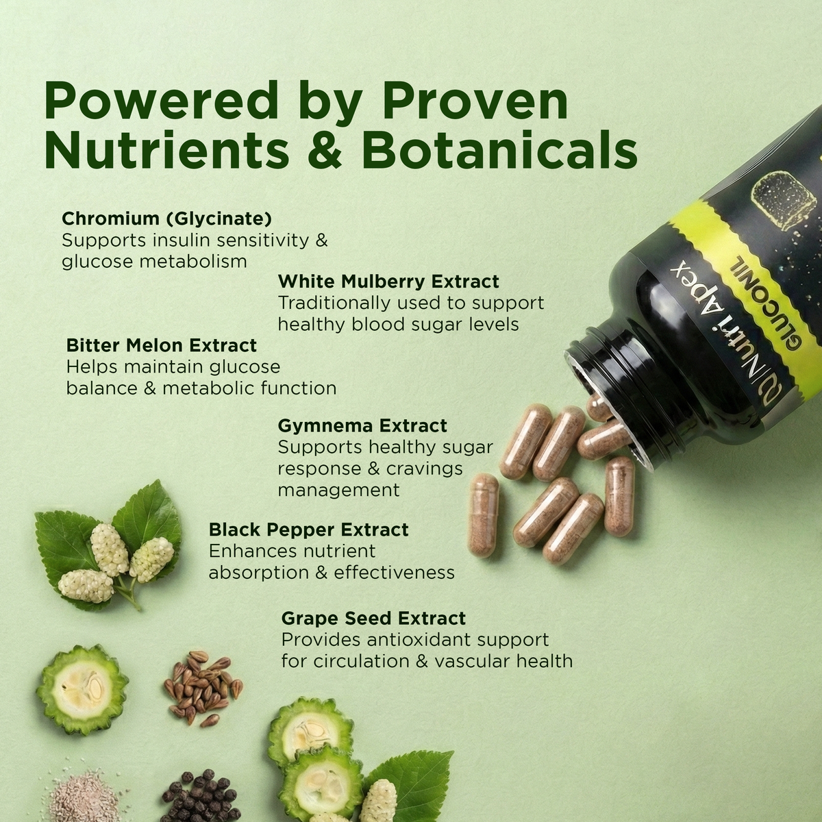Nutri Apex Gluconil — plant-forward formula for healthy glucose metabolism