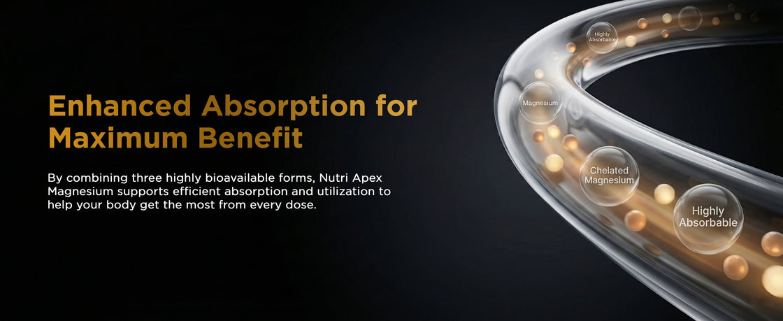 Magnesium 3X Complex — gentle on the stomach and highly bioavailable