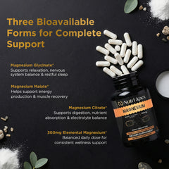 Magnesium 4