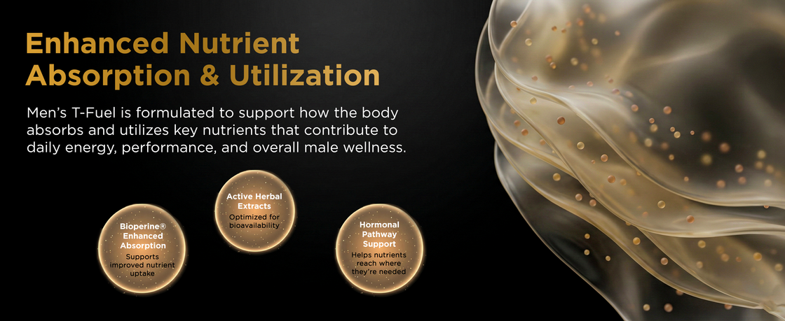 Nutri Apex T-Fuel — third-party tested in a GMP-certified facility